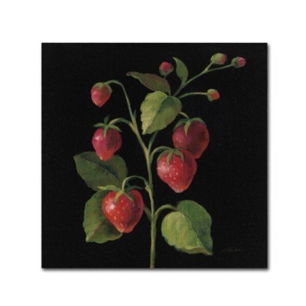 Silvia Vassileva 'Fraise No Words' Canvas Art, 24x24, Trademark Fine Art, Mfr#: WAP0305-C2424GG